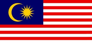 Malaysian Name Generator name generator illustration